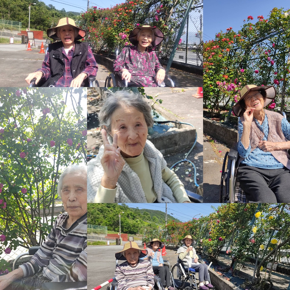 バラ園見学