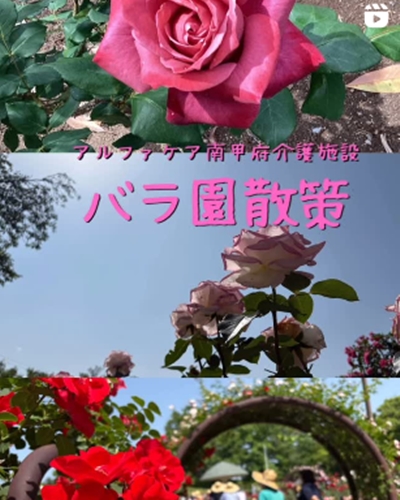 バラ園散策！