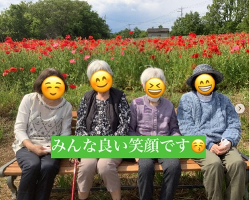 ポピー畑！
