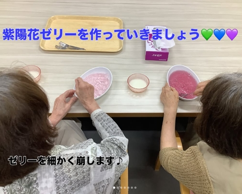 紫陽花ゼリー作り！